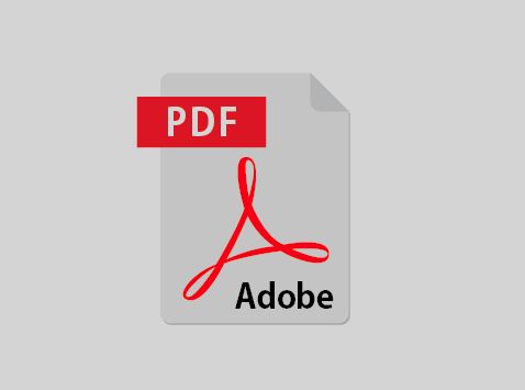 PDF网站开发