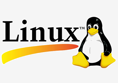 掌握Linux系统调用接口，深入理解系统功能